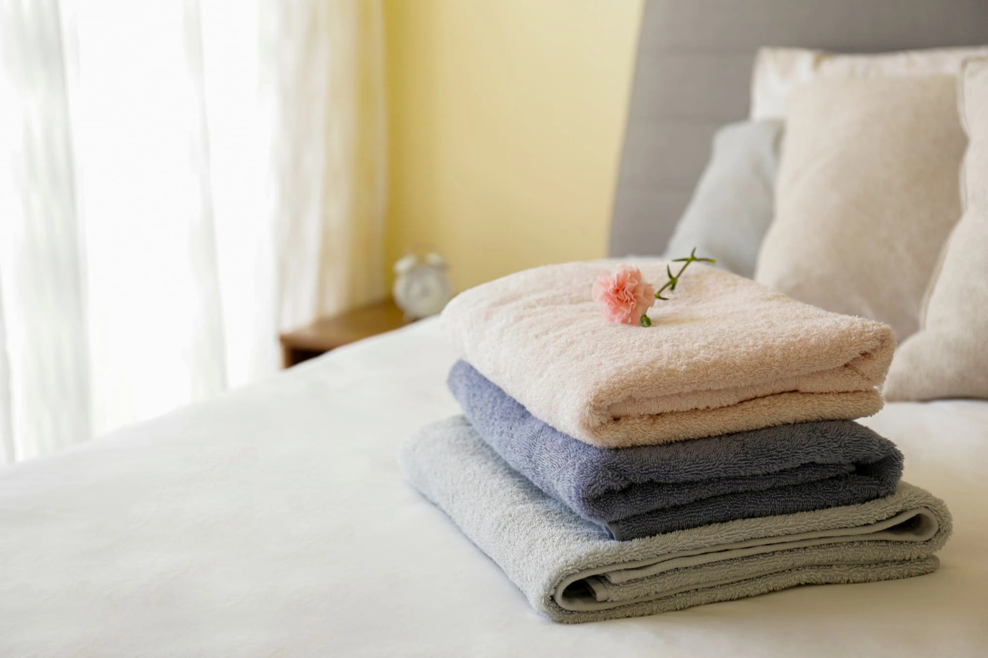 AdobeStock_68501900